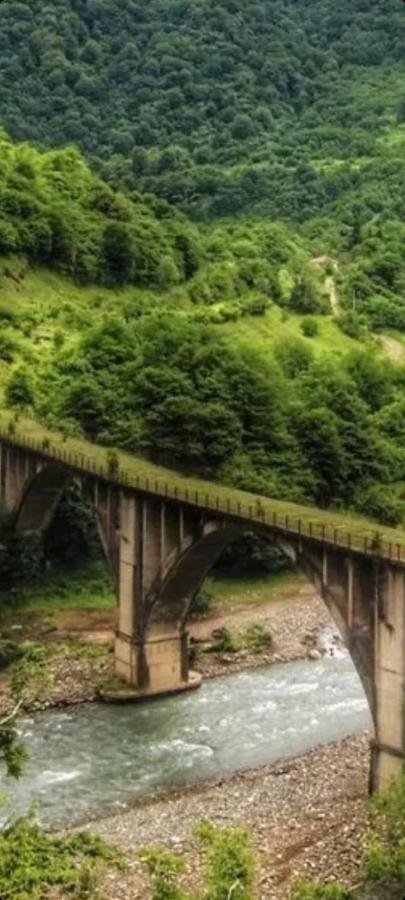 Гостевой Дом Белый Лотос Gagra Luaran gambar